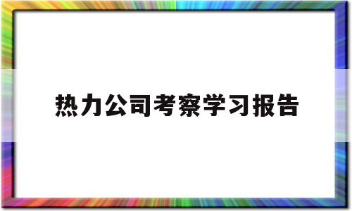 热力公司考察学习报告(热力公司年度考核表个人总结)